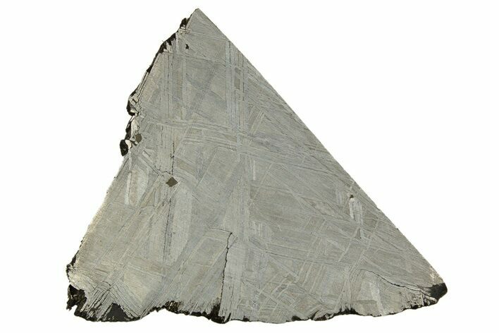 Etched Muonionalusta Meteorite Slice ( g) - Sweden #316733